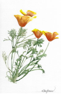 <i>Exquisite Mariposa</i> makes the NCIBA Golden Poppy longlist