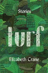 Electric Literature names <i>Turf</i> one of 15 Best Short Story Collections of 2017