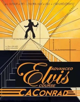 Advanced Elvis Course