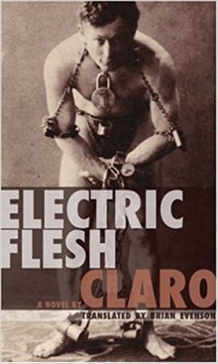 Electric Flesh