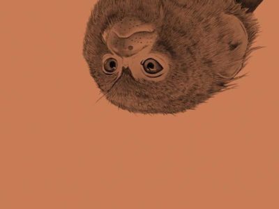 <i>Full Stop</i> reviews <i>Mitz</i>