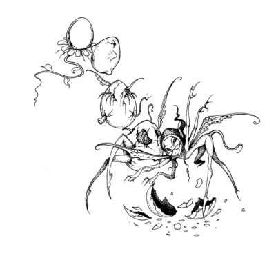 <i>Cultured</i> features <i>Exquisite Mariposa</i> in essay on reconsidering the coming-of-age novel