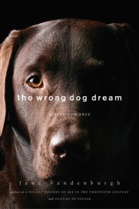 The Wrong Dog Dream