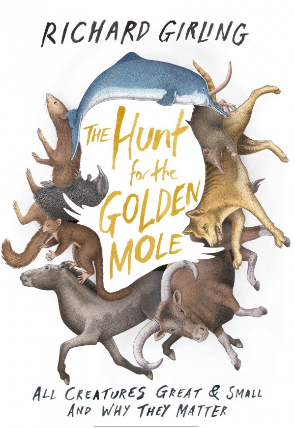 The Hunt for the Golden Mole
