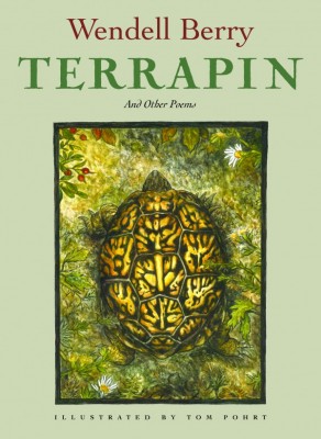 Terrapin