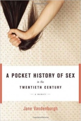 The <i>Charlotte Observer</i> recommends Jane Vandenburgh’s writing