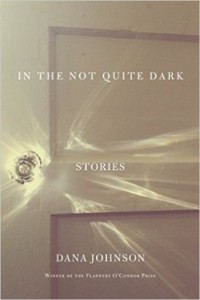 <em> In the Not Quite Dark</em> author Dana Johnson listed on The Story Prize’s 2016 Long List