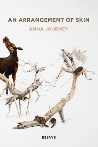 The<em> Rumpus</em> reviews Anna Journey’s <em>An Arrangement of Skin</em>