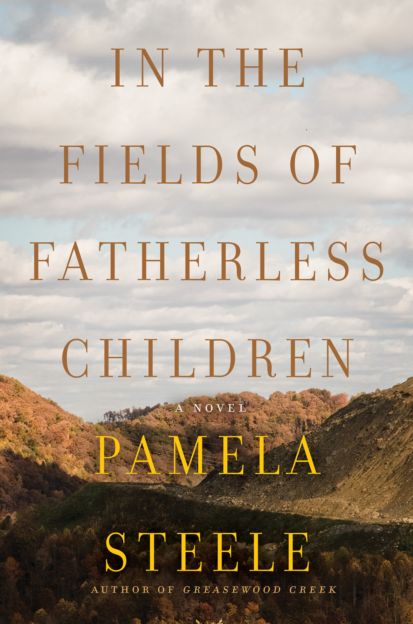 In The Fields of Fatherless Children
