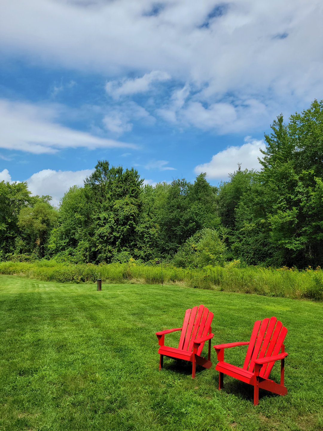 This photograph shows a bright blue sky with white fluffy clouds hanging above a healthy green lawn edged with trees. Two bright red chairs sit in the middle of the lawn.