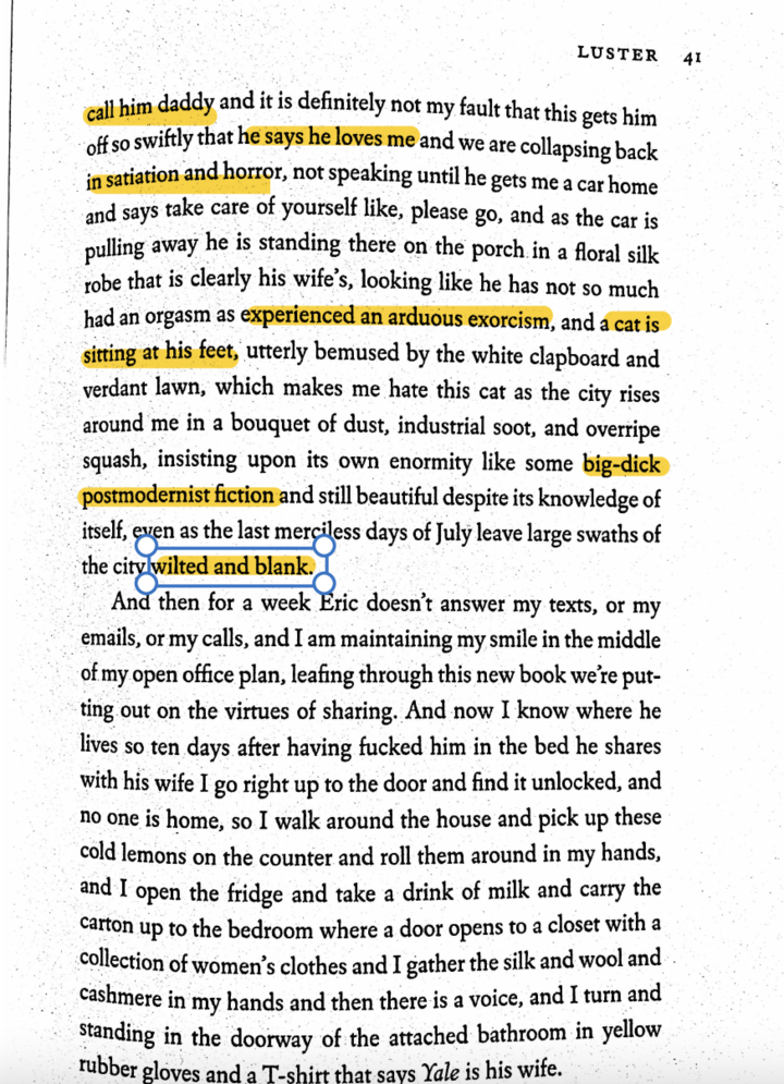 Page 41 from Raven Leilani's LUSTER, with descriptions highlighted (many of these descriptions are also listed in the essay)
