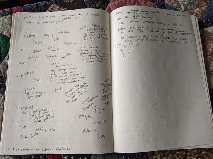 A picture of the author's notebook with whale words written down