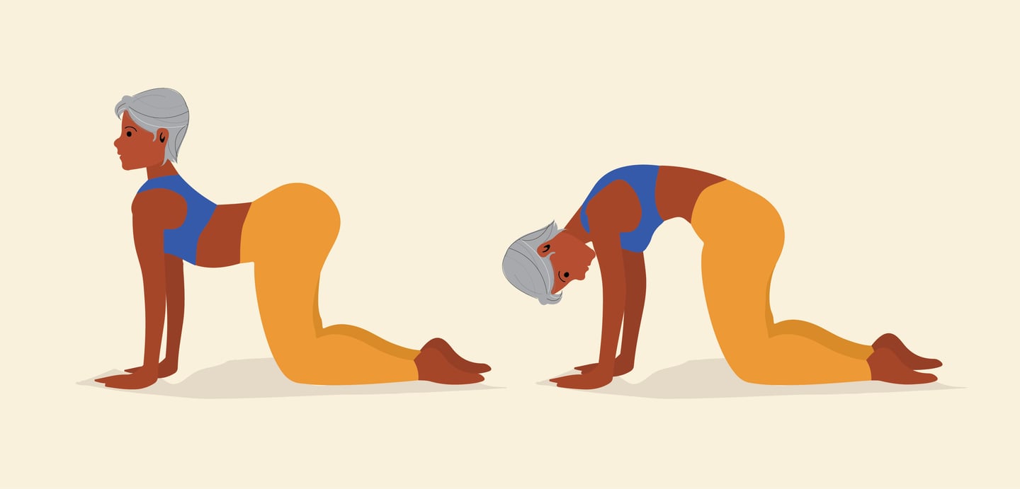 This illustration shows a visual representation of the yoga pose described above