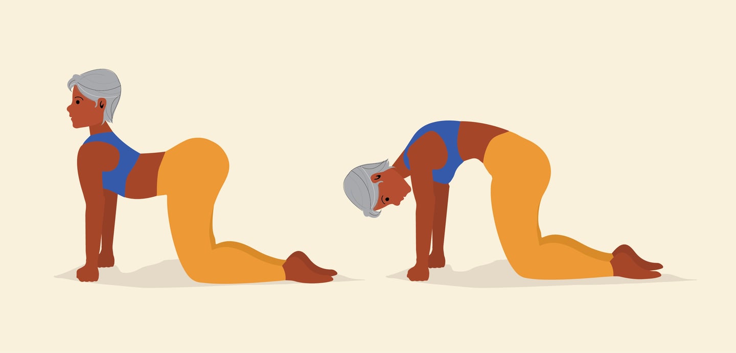 This illustration shows a visual representation of the yoga pose described above
