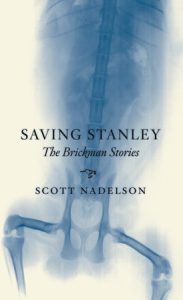 The Brickman Stories: Saving Stanley