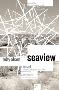 A Novel: Seaview